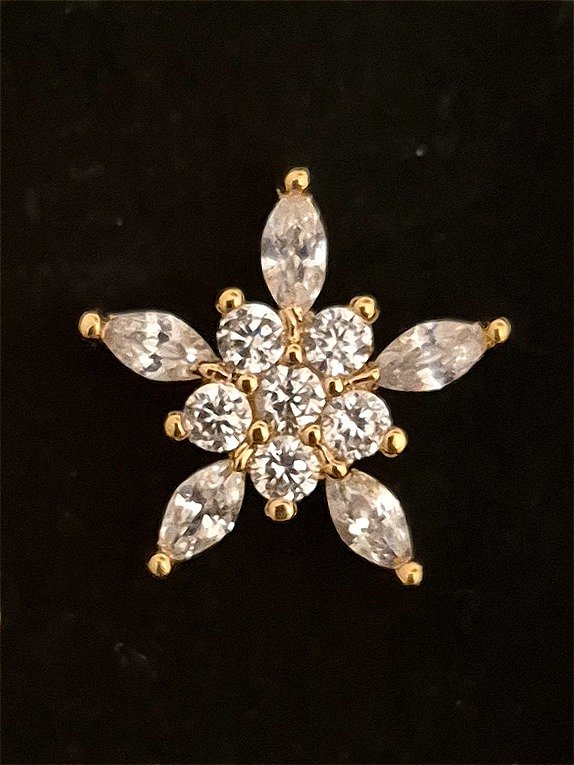Zircon Earrings