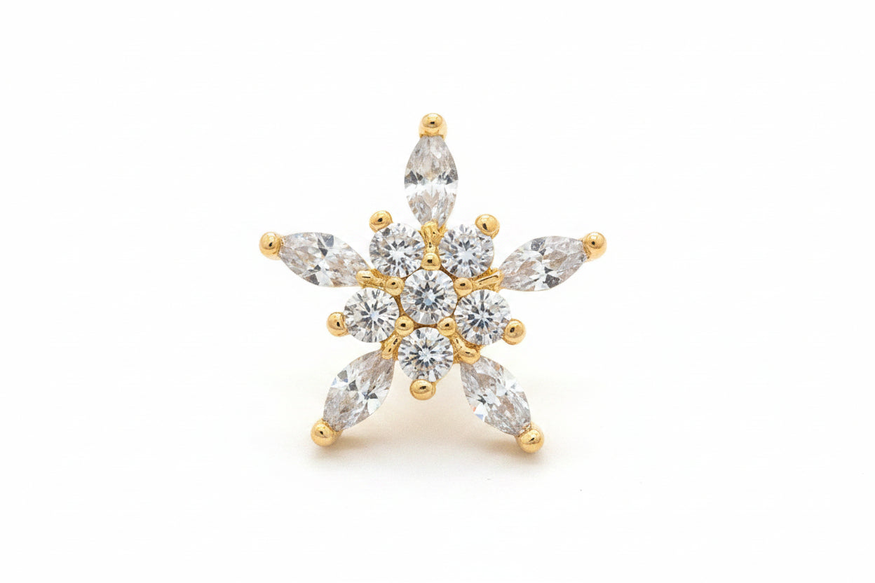 Zircon Stone Earrings