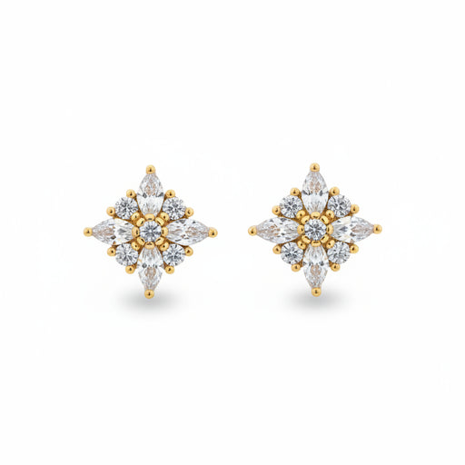 Zircon Earrings