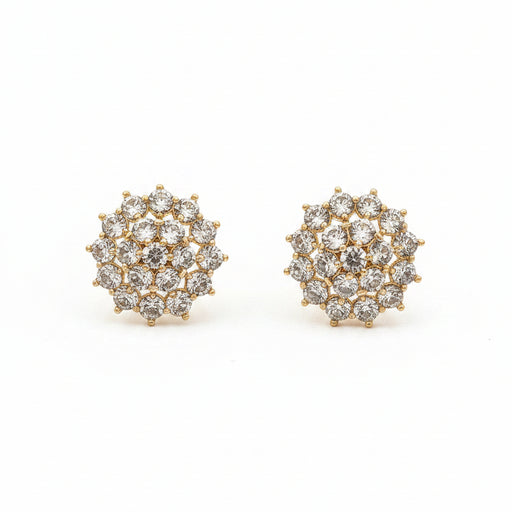 Zircon Stone Earrings