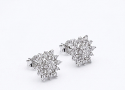 Zircon Earring
