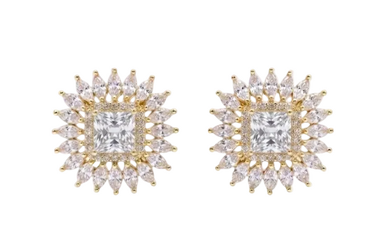 ✨Zircon Stone Earring💎