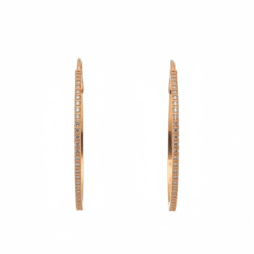 Zircon Earring