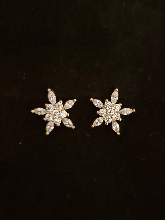 Zircon Earrings