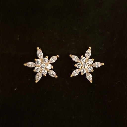 Zircon Earrings