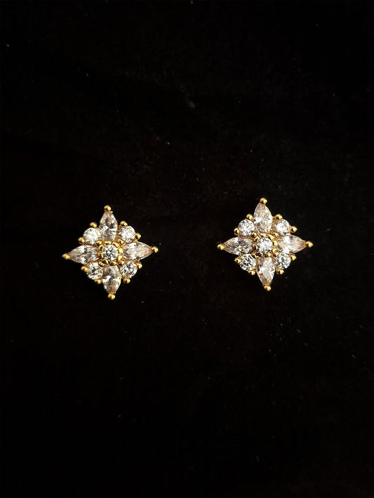 Zircon Earrings