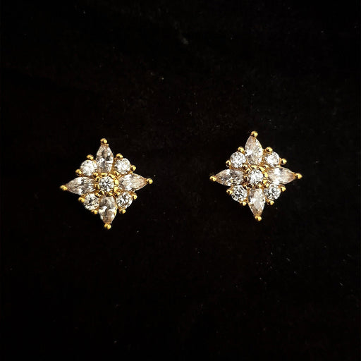 Earrings EAR-ZC-GP-014