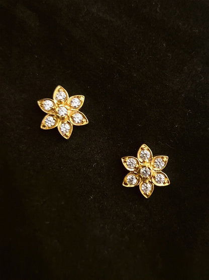 Zircon Earrings