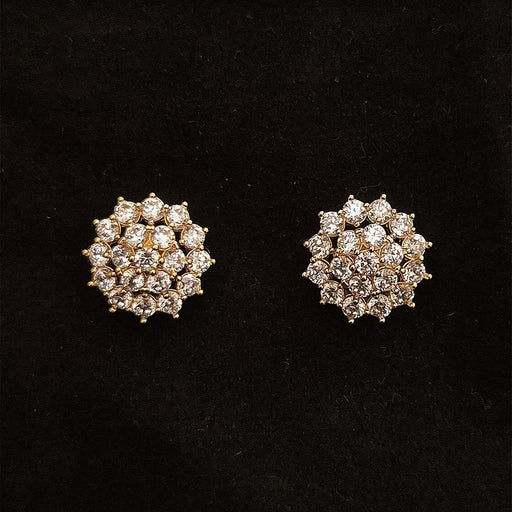 Zircon Stone Earrings