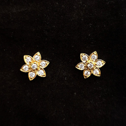 Zircon Stone Earrings