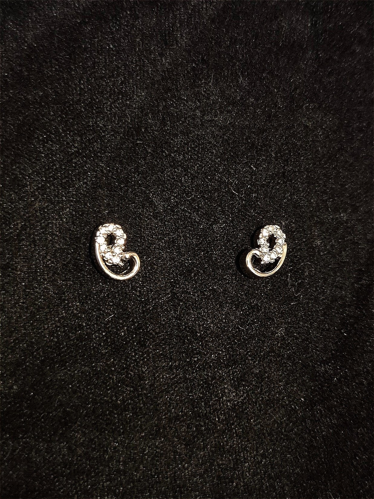 Earrings EAR-RO-GP-041