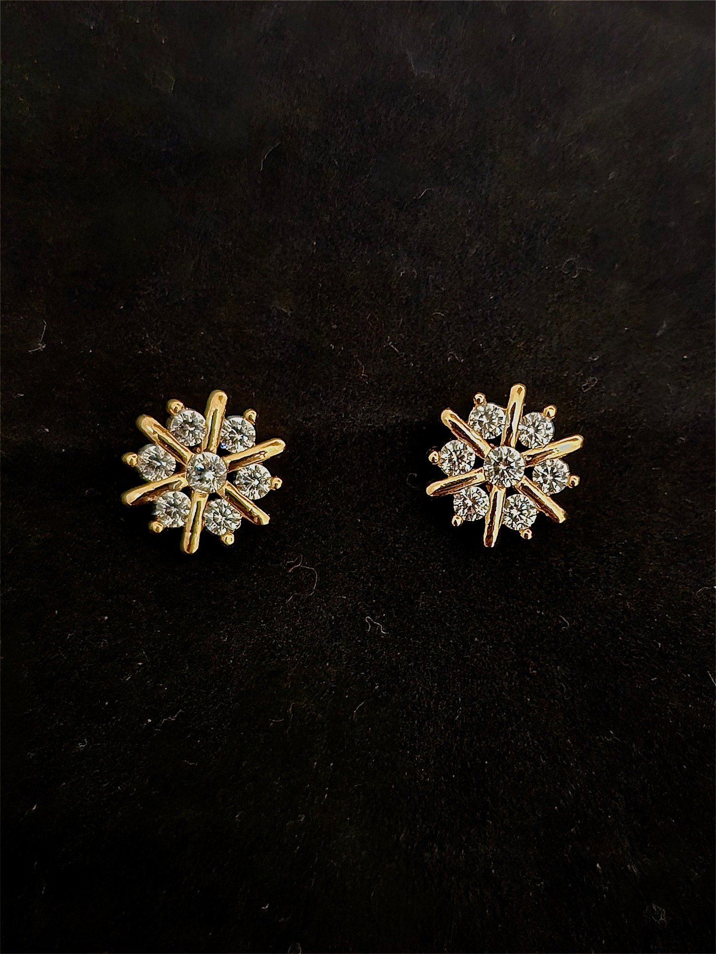 Earrings EAR-ZC-GP-008