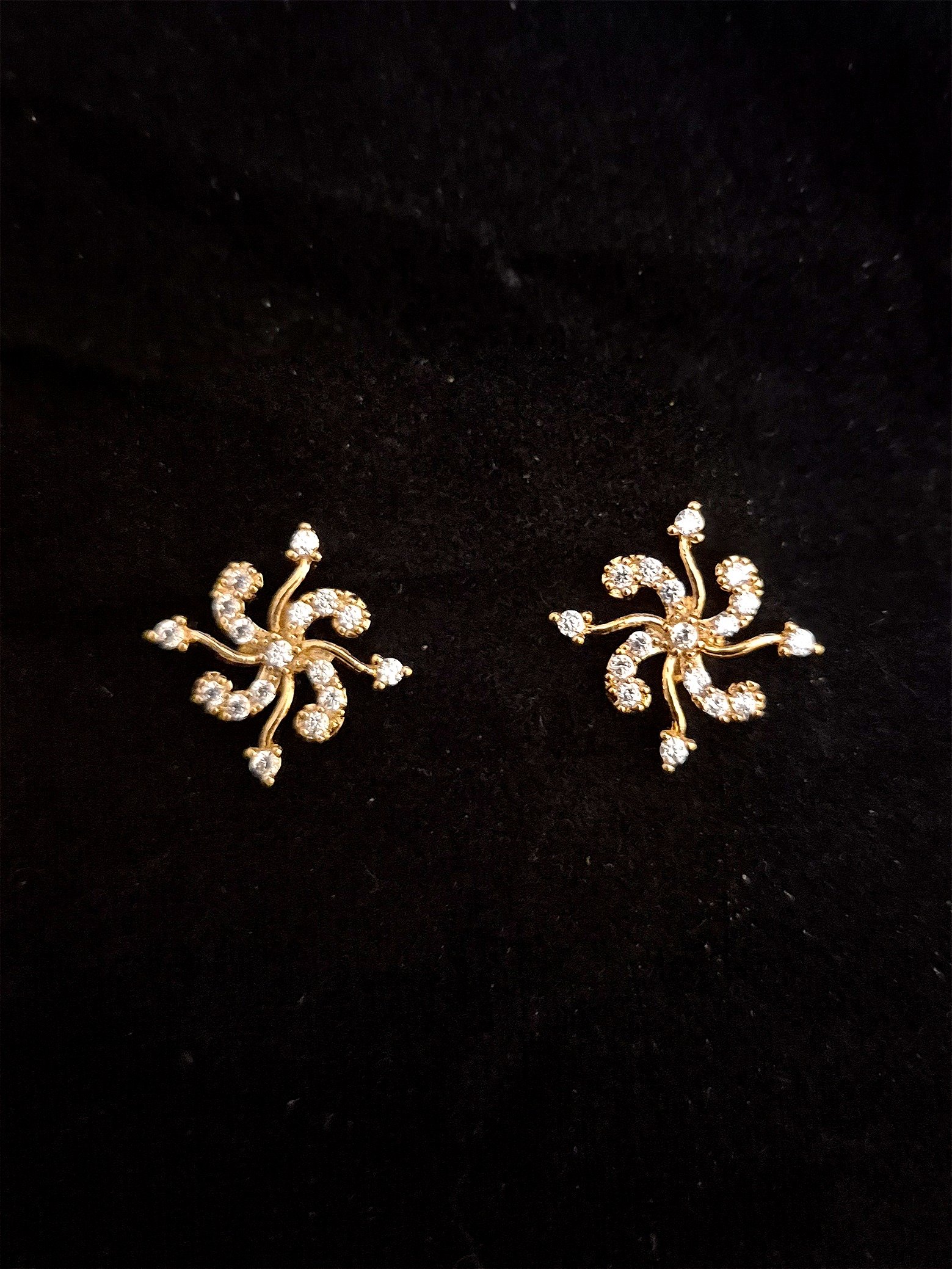 Earrings EAR-ZC-GP-018