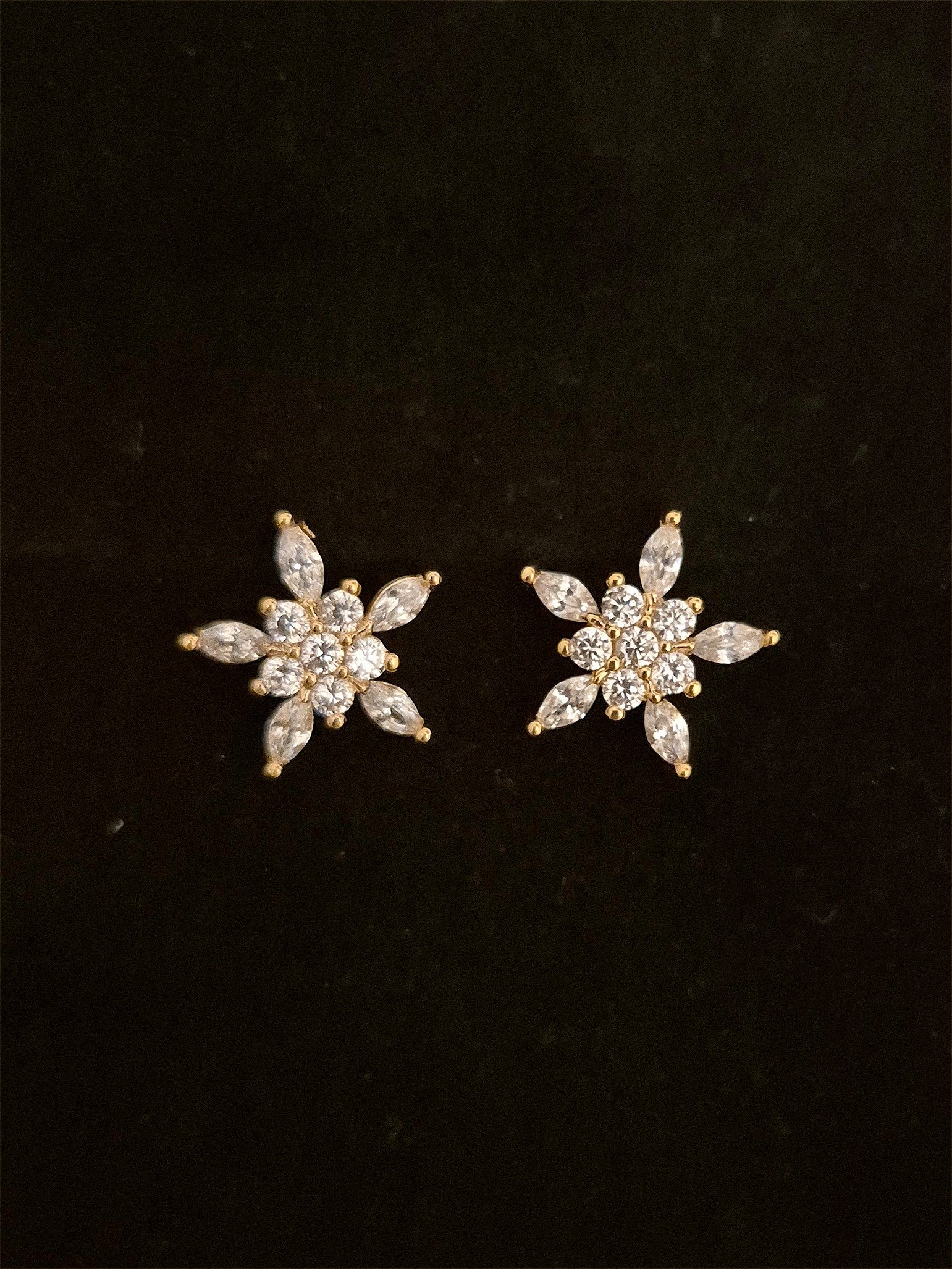 Earrings EAR-ZC-GP-007