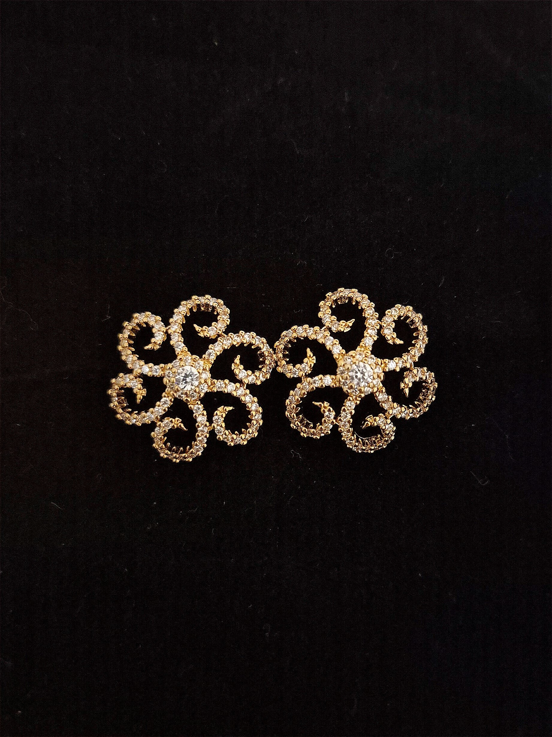 Earrings EAR-ZC-GP-005