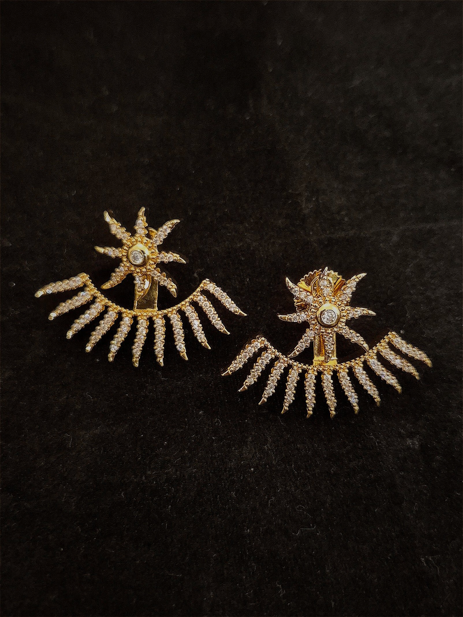 Earrings EAR-ZC-GP-019
