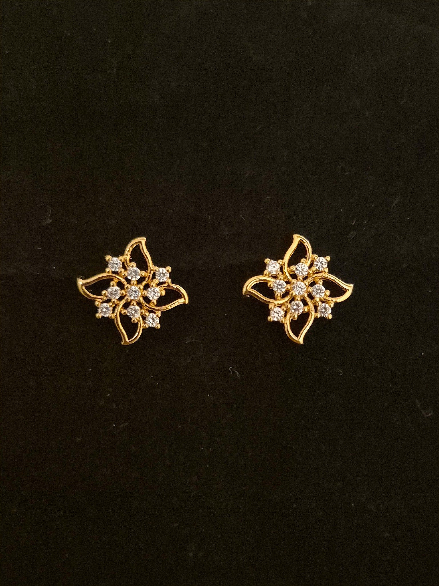 Earrings EAR-ZC-GP-009