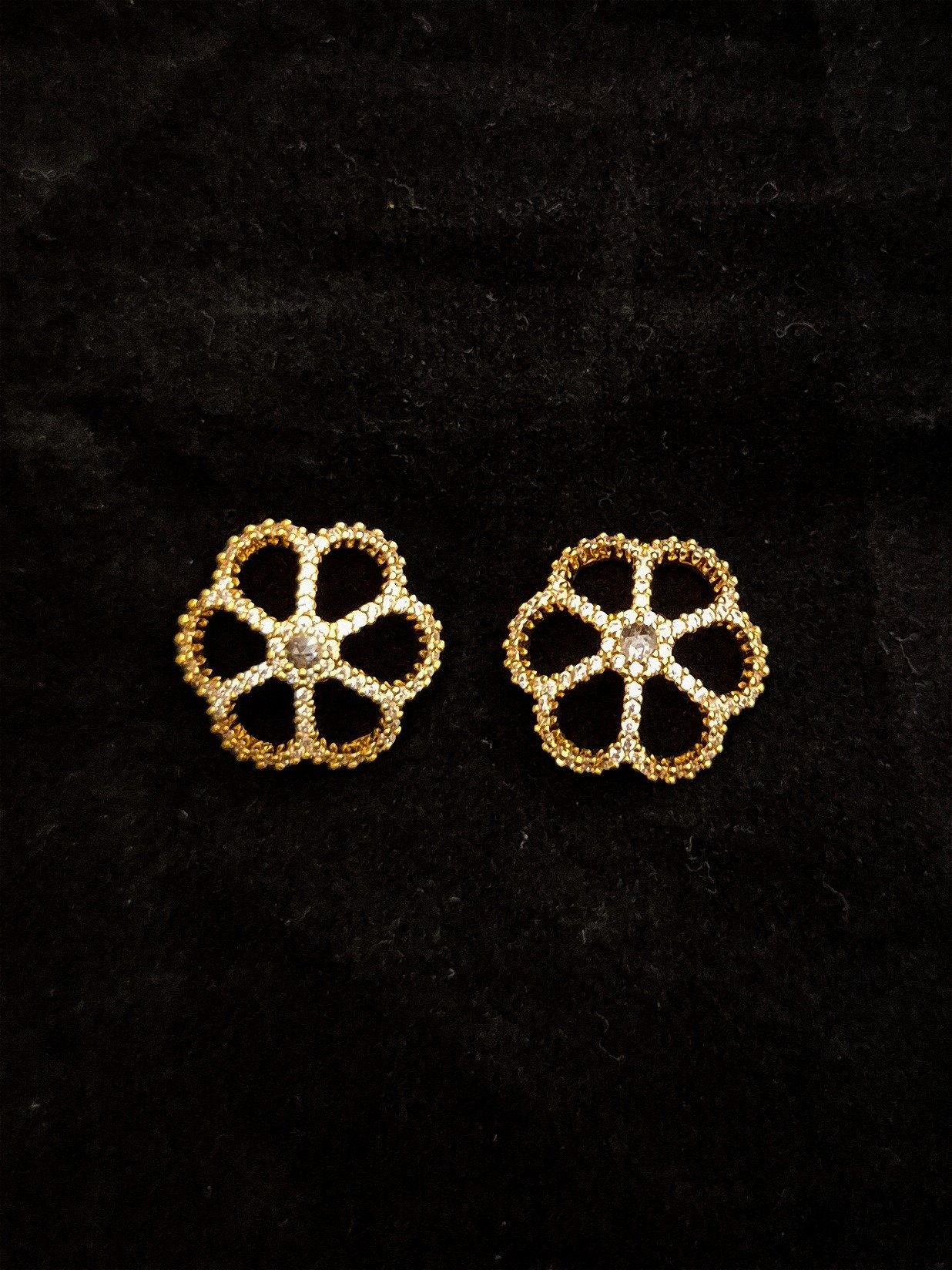 Earrings EAR-ZC-GP-020