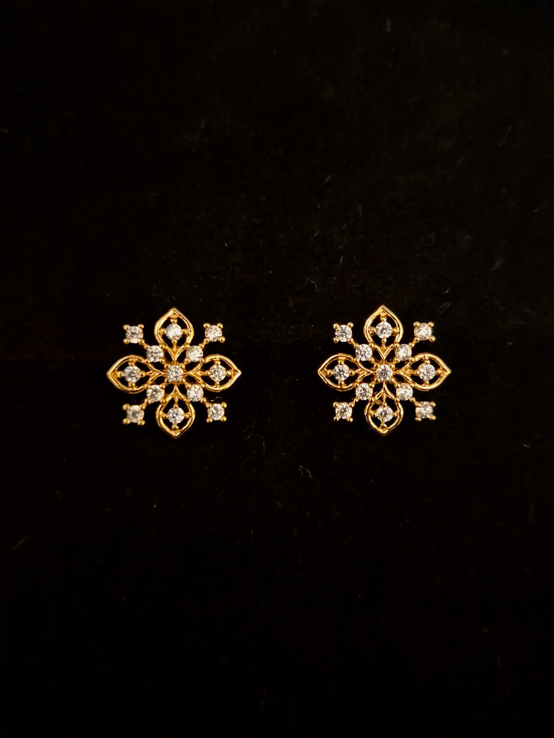 Earrings EAR-ZC-GP-002