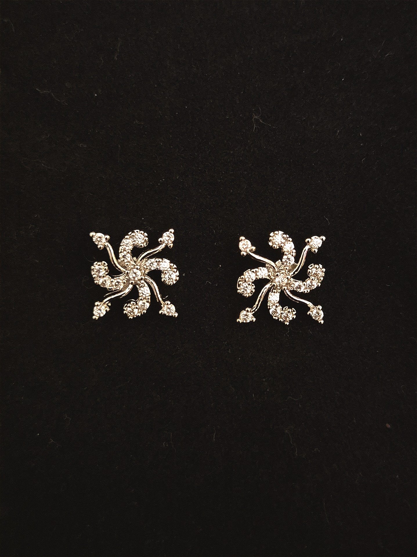 Earrings EAR-RO-GP-032